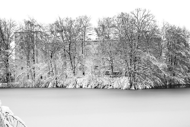 Winter in Saxony