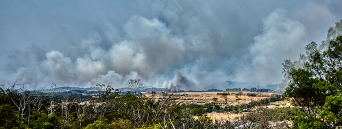 australia bunyip bush elements fire grass skylum vicfires victoriaaustraliabunyipbushelementsfireskylumvicfiresvictoriagrasslandscapepakenhamau