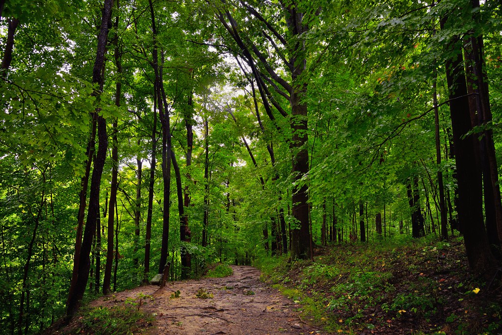 I Headed out into the Woods Alone with Only a Joyful Song to Sing! (Cuyahoga Valley National Park)