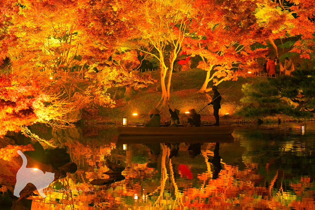 栗林公園 紅葉ライトアップ Sakura Cat Flickr