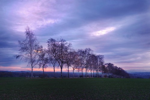sunrise morning germany schwerte trees pentax snapseed nrw ruhrgebiet kreisunna nordrheinwestfalen clouds