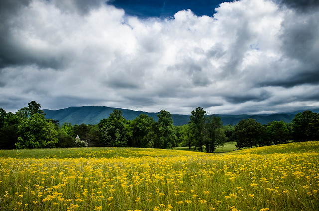 Golden Cades Cove Field and Church
