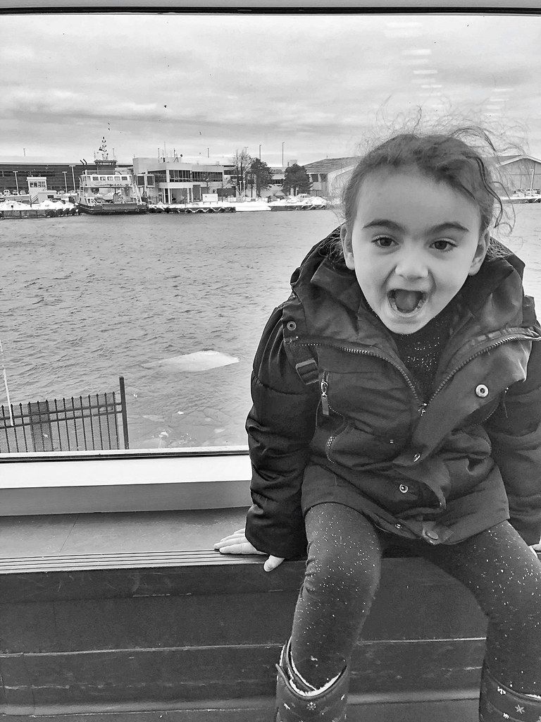 Chloe On The Ferry Toronto Ontario