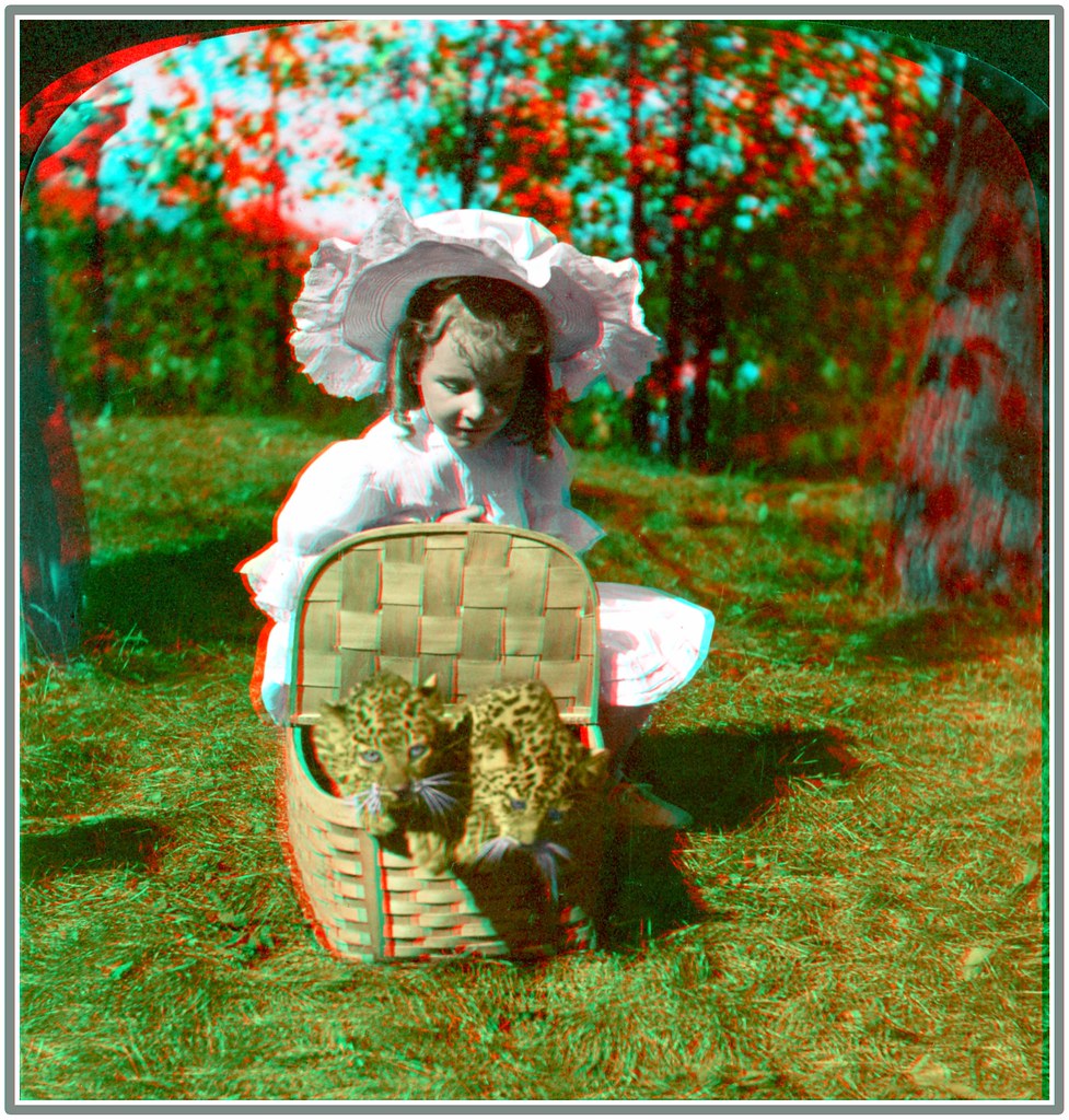 Strange pets--little girl and Indian leopards, Lincoln Park, Chicago, U.S.A. 1907.