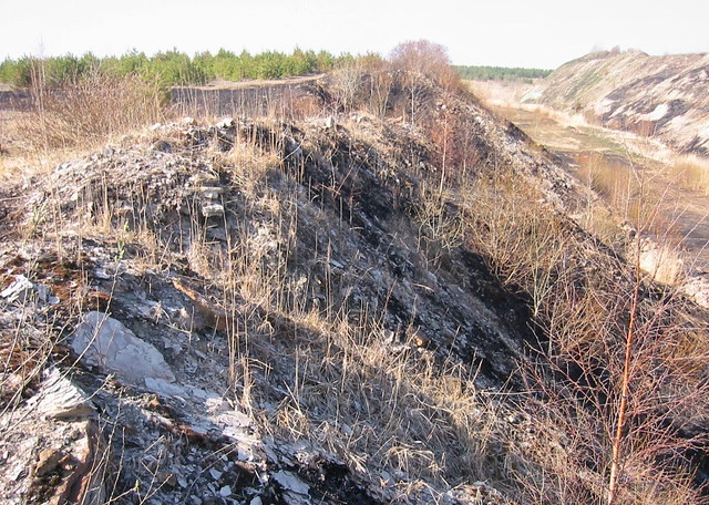 Diktüoneemakiltkivi fosforiidimaal / Phosphate rock mining area in Estonia