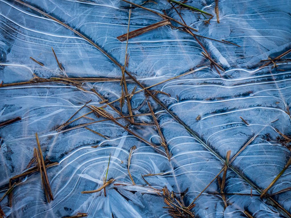 grass and ice