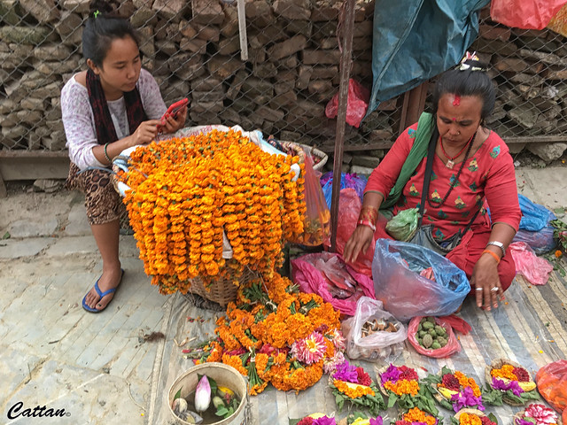 Flowers seller - Kathmandu ancient city
