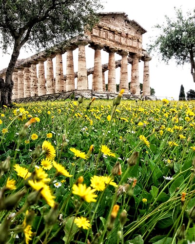 Paestum | by uffagiainuso