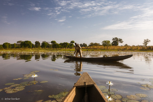 Fisherman by Irene Becker, Fisherman by Irene Becker © All rights reserved

Kan Gimi, Kaduna, Nigeria

<a href="http://irenebec