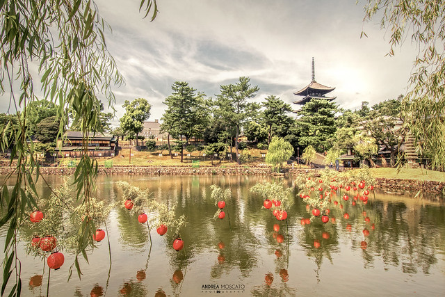 Sarusawa Pond - Nara (Japan)