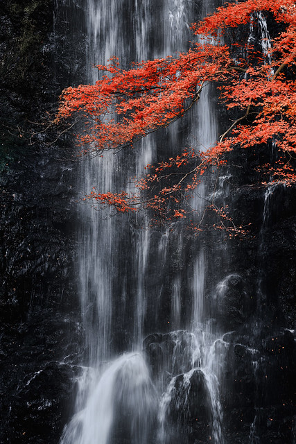 Minoo Falls, Osaka