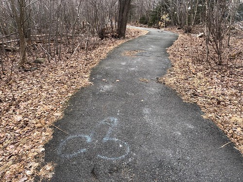 Forest Hills Trail, Cole Harbour