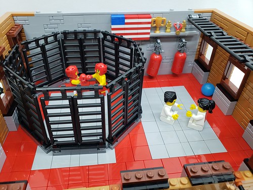 LEGO Brazilian JiuJitsu/MMA Gym with Octagon Cage