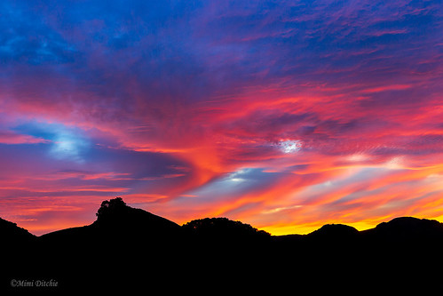 seecanyon clouds pinkclouds sky sunrise cloudscape dawn mimiditchie mimiditchiephotography getty gettyimages