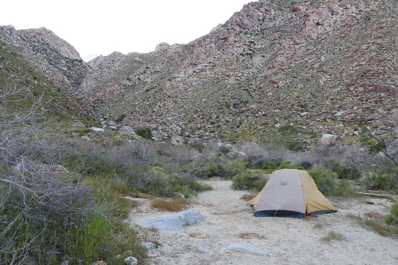Our tent and campsite in Cougar Canyon