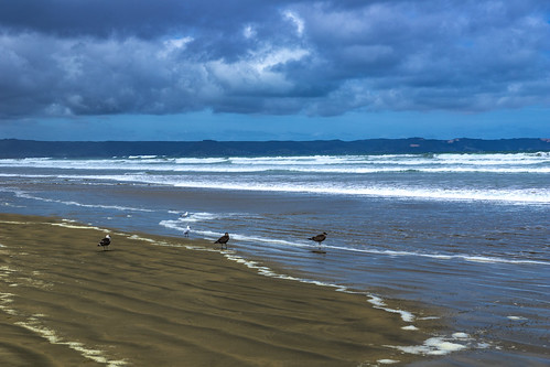 nz newzealand 90milebeach beach coast sand northland sky clouds nature coastline sonya77 outdoors