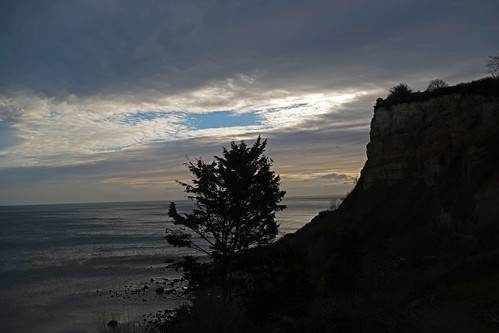 cliffs sunset seaton devon cliff