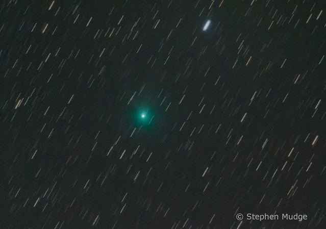 Comet C/2018 Y1 (Iwamoto)