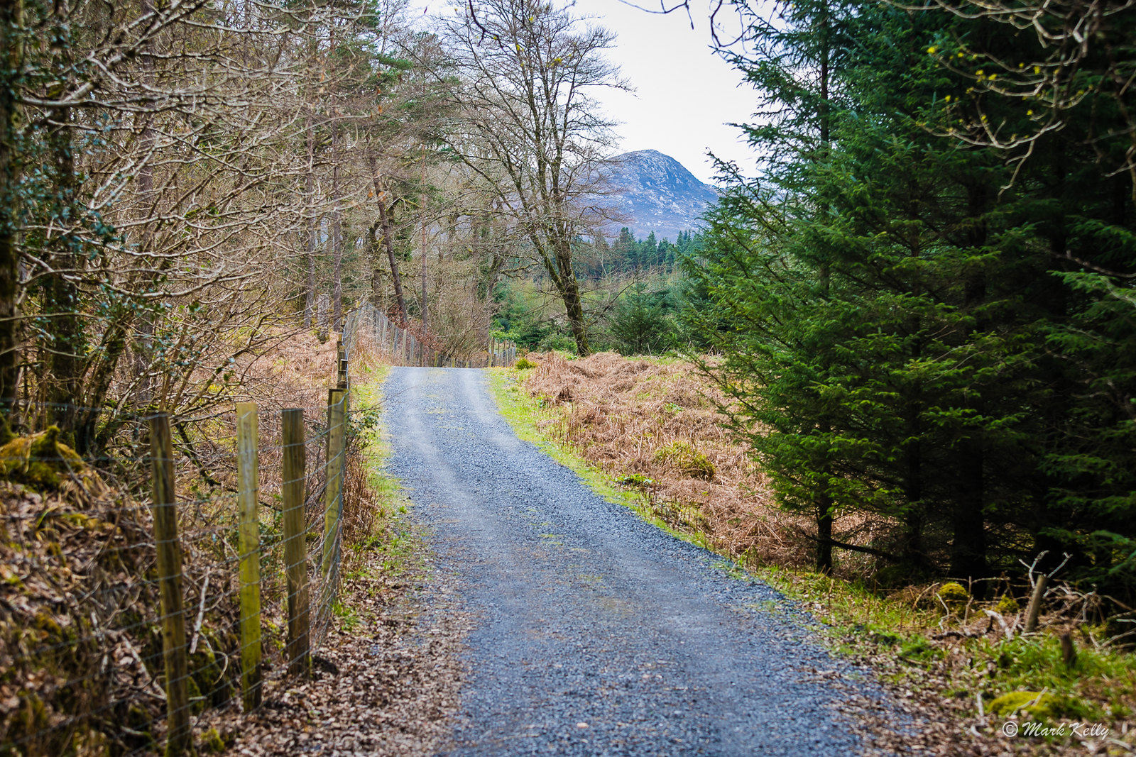 SligoDuathlon (346 of 662)