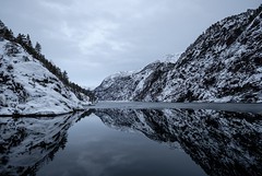 Freezing fjord