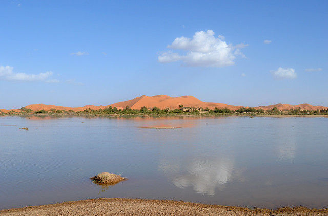 Stunning vision of the Sahara