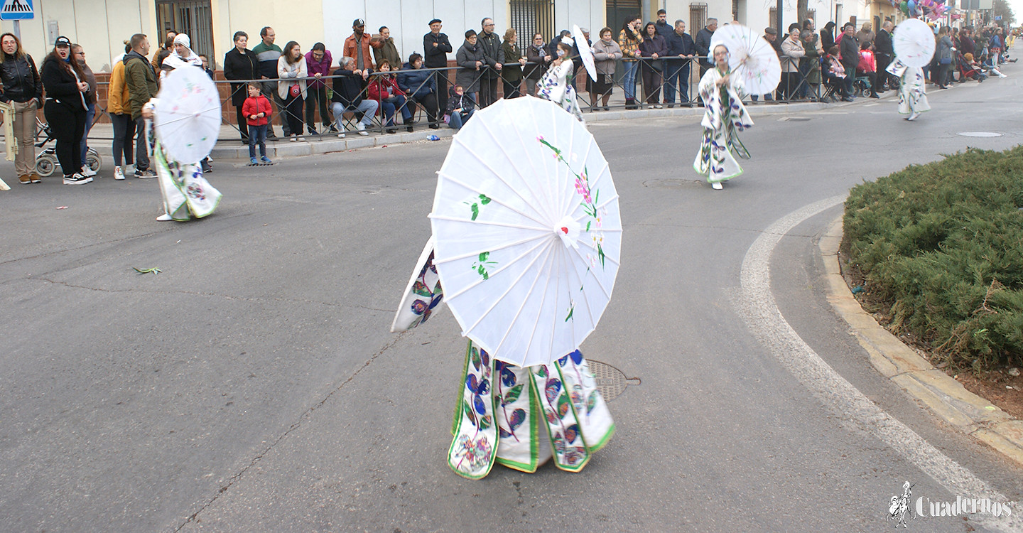 carnaval-tomelloso-desfile-locales-2019 (154)