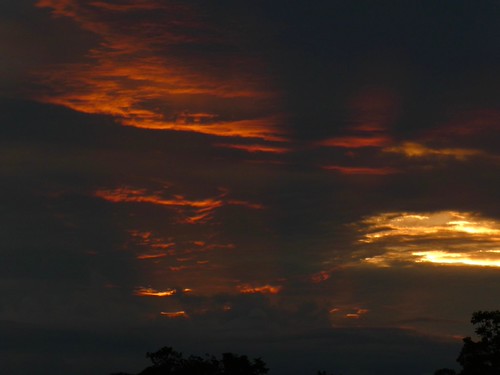 Amazon Sunset by krossbow, panasonic lumix tz90 zs70 gate1travel travel gate1 trip vacation adventure ecuador south america sou