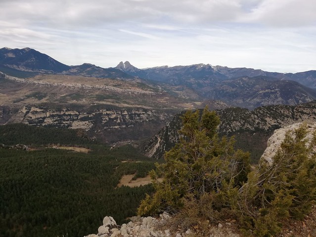 IMG-20190303-WA0057