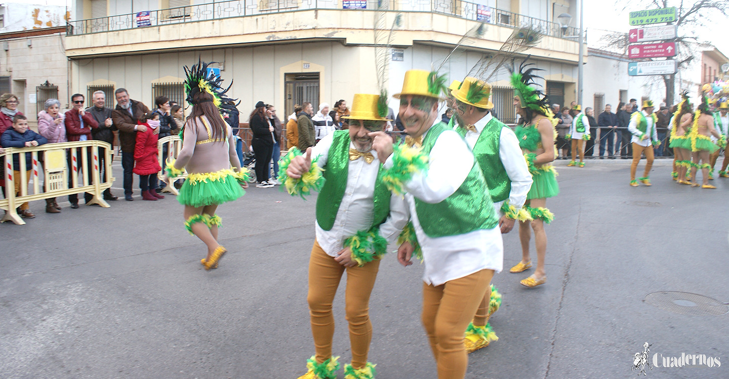 carnaval-tomelloso-desfile-locales-2019 (338)