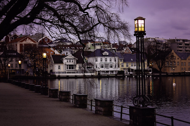 360/365: Stavanger city park