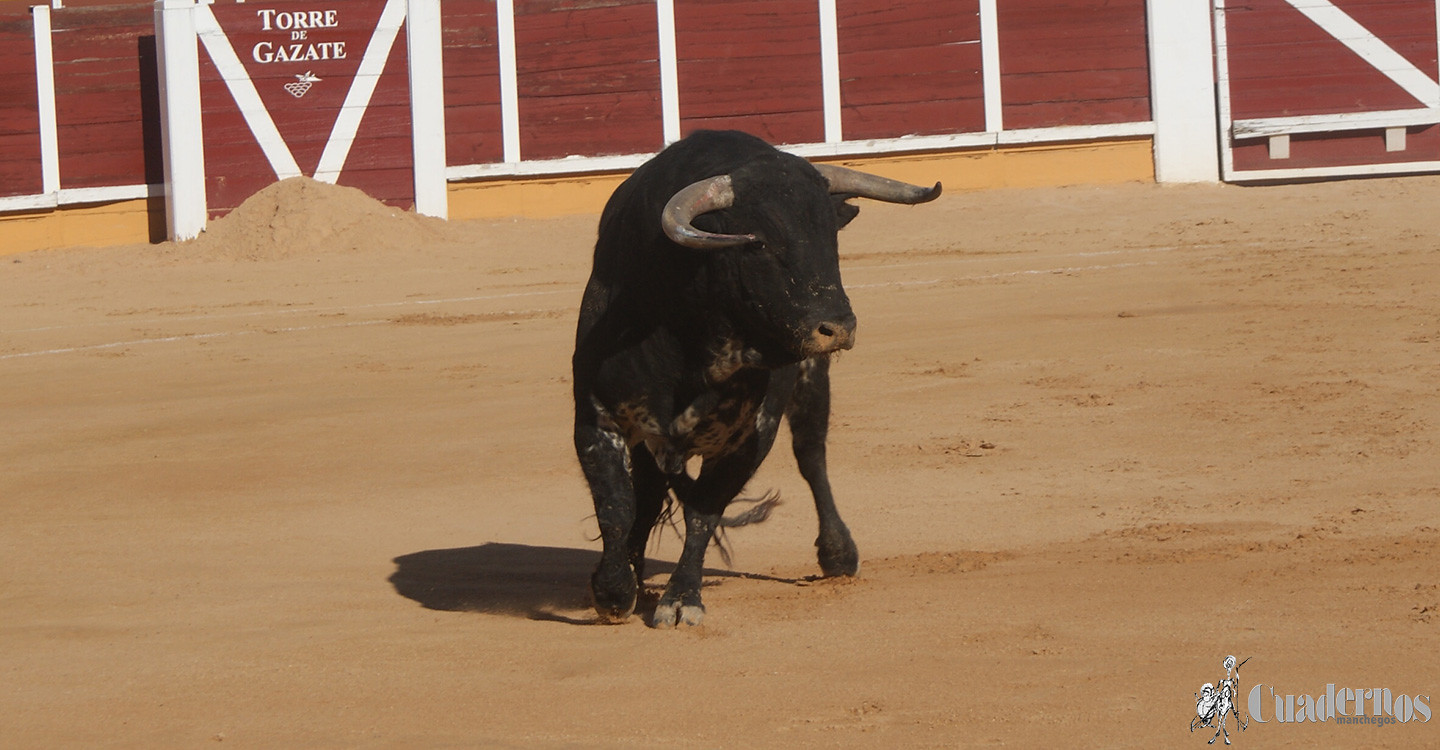 14042019-VII-corrida-benefica-de-toros-celebrada-en-tomelloso-35