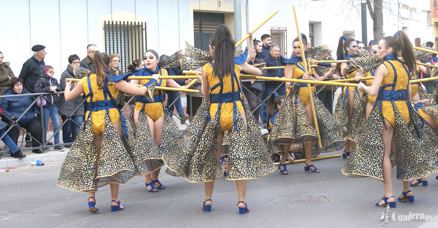 carnaval-tomelloso-desfile-locales-2019 (217)
