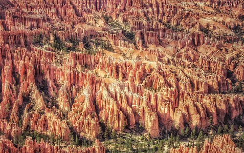2012 nikond90 usa roadtrip canyon brycecanyon bryce valterb valter roadtripusa rock red rocks rocky tree trees view panorama utah