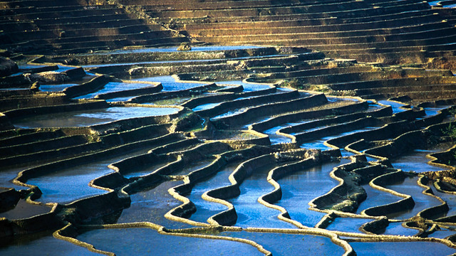 Yuanyang Rice Terrace