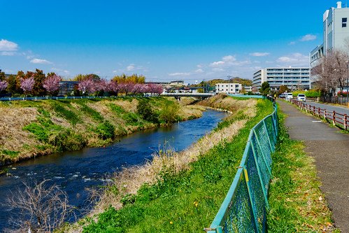 2019 spring april japan kanagawa yokohama aoba aobaku aobaward ichigao nature landscape flower river sky sony a5100 selp1650