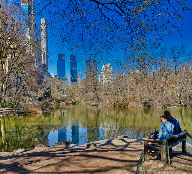 Enjoying the view - Central Park, NY