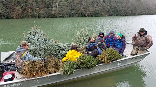 volunteers cleanup landscaping lake water winter outside outdoors nature
