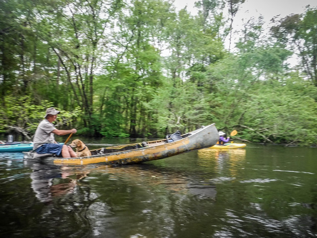 Edisto River Trip with Bamberg Chamber of Commerce