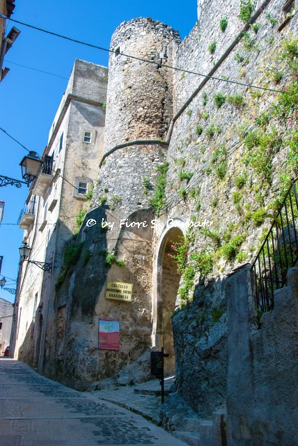 Vico del Gargano (FG), 2009, Il Castello Normanno - Svevo.