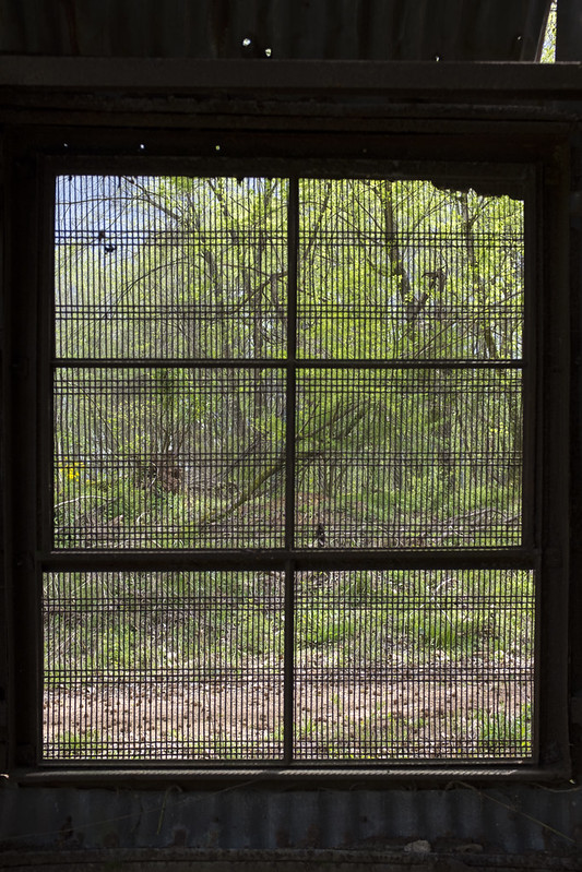 Grate Window
