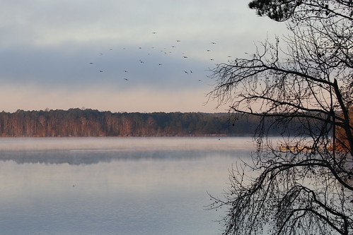 birding lakecrabtree beautifulmorning