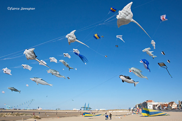 Sky filled with kites @ Zeebrugge beach