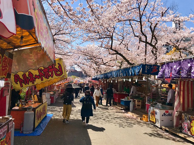 大阪造幣局櫻花季