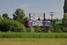 482 022-1 [aa] SBB Cargo  zwischen M-Friedrichsfeld und Ladenburg