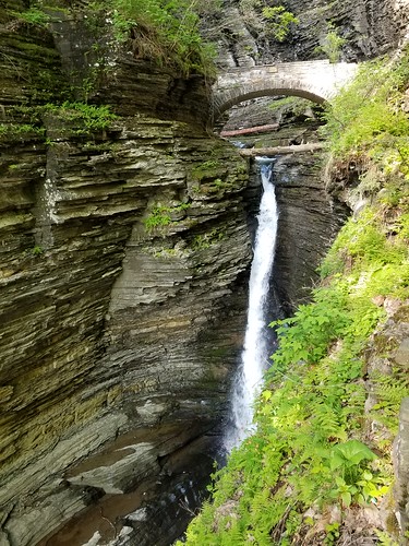 attraction beautiful canyon cascade contrast destination falls fingerlakesregion forest geotagged gorge gorgeous hiking jaggedrocks landscape light limestone movingwater natural nature newyork newyorkstate outdoor river rock sandstone scenery scenic schuylercounty senecalake senecavalley serene shadows sightseeing siltstone softshale statepark stone terrain touristattraction travel travelphotography unitedstates upstatenewyork usa vacation valley view vista walking water waterfall waterfeature watermotion watkinsglen watkinsglennewyork watkinsglenstatepark watkinsglenstatereservation wilderness geo:lat=4237374933 geo:lon=7688159233 samsungs8 samsung samsungcellphone s8