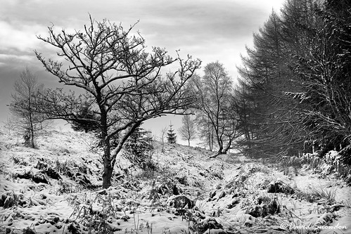 davidsnowdonphotography landscape canoneos80d northyorkshire codbeckreservoir codbeck northyorkmoors winter snow ice frozen