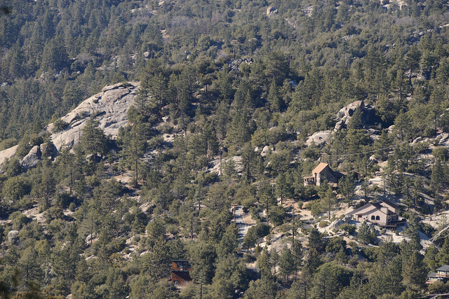 Houses in the forest