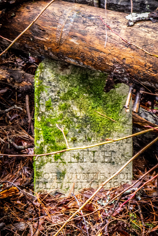 Tall Pines Preserve and South Saluda Church Cemetery-37