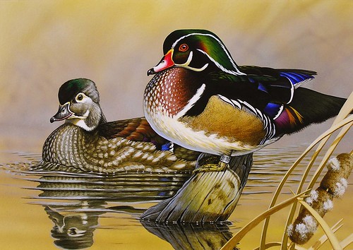 Image of Migratory Game Bird Stamp