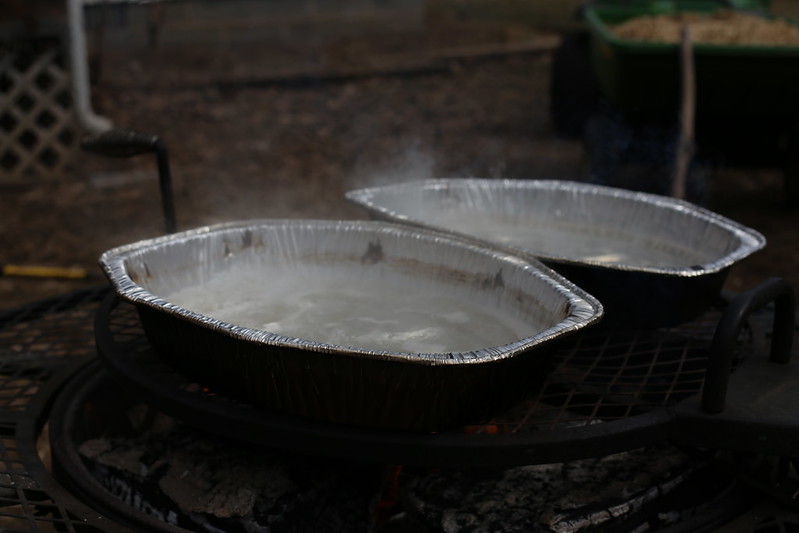 boiling the sap